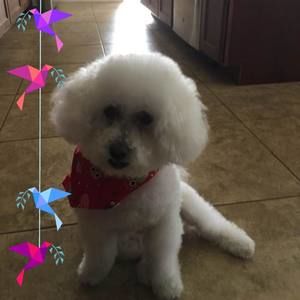 Meet your Posher, Darlene